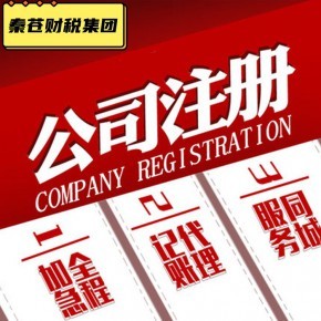上海闵行剑川路公司注册与财务代理 专业服务助力企业腾飞——秦苍企业登记代理的多年经验解读